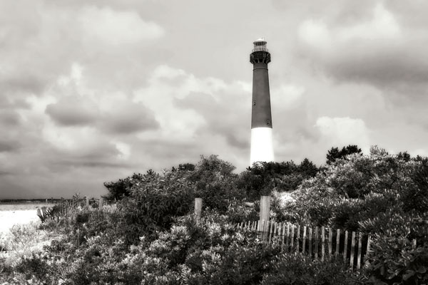 Barnegat Beach I