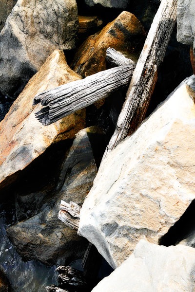 Rocks & Wood I