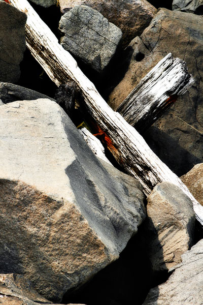 Rocks & Wood II