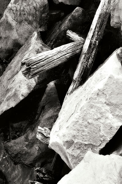 Rocks & Wood I BW