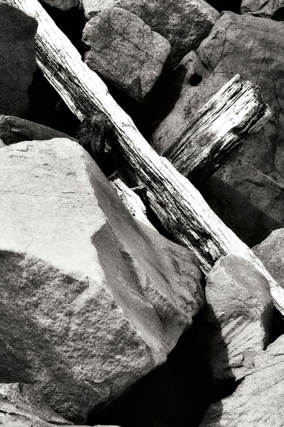 Rocks & Wood II BW