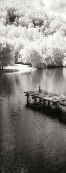 Mint Springs Lake Panel II