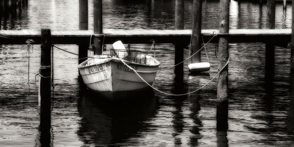 Bait Skiff I
