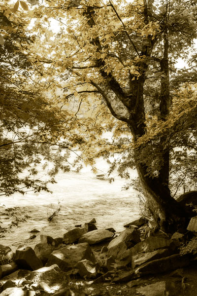 By the River Wide I