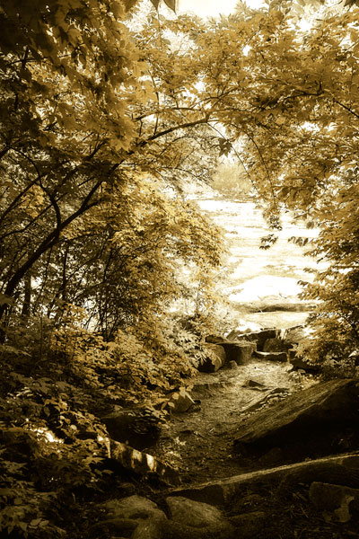 By the River Wide II