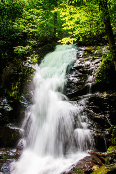 Deep Woods Waterfall II