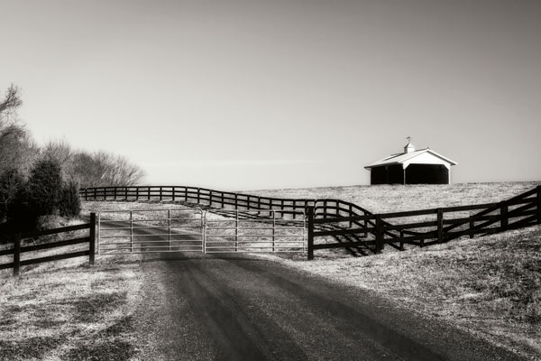 Albermarle Farm II