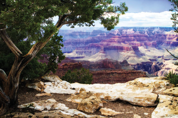The Canyon I