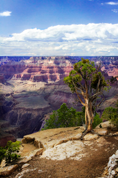 The Canyon Rim I