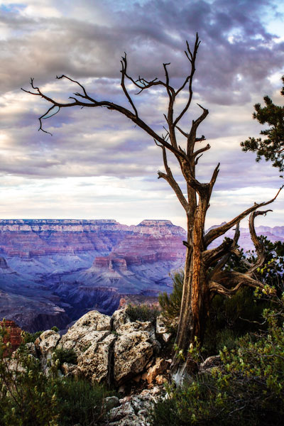 Evening on the Rim I