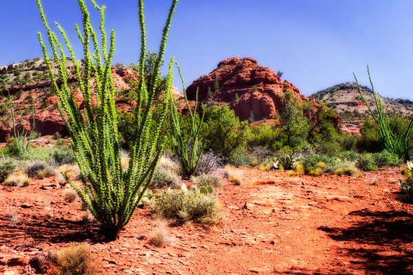 High Desert II