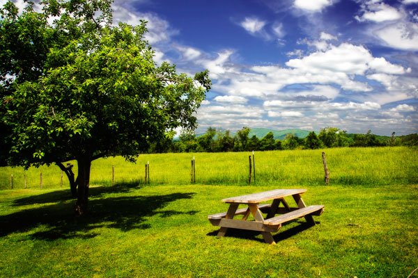 Country Springtime II