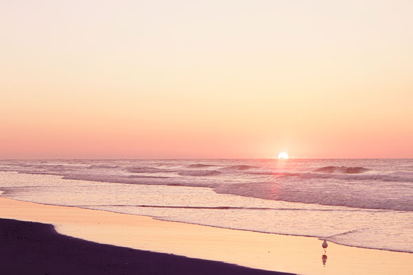 Lavender Sunrise