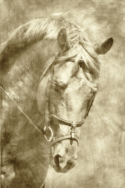 Diego I