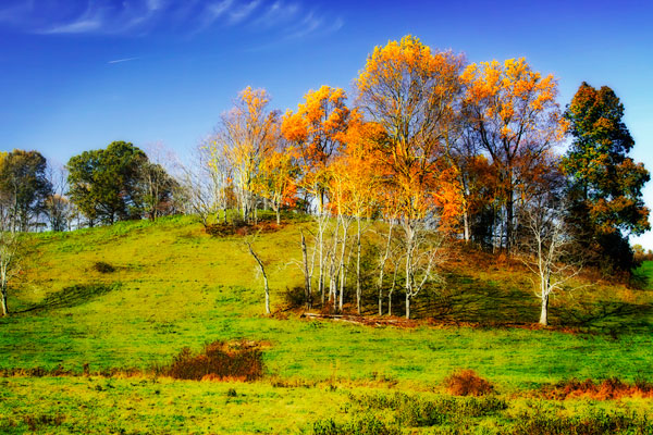 Autumn Hills II