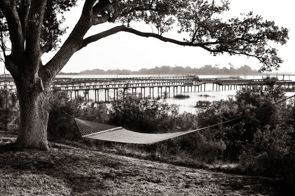 Summer Hammock I