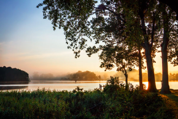 Cobb Island Sunrise IV