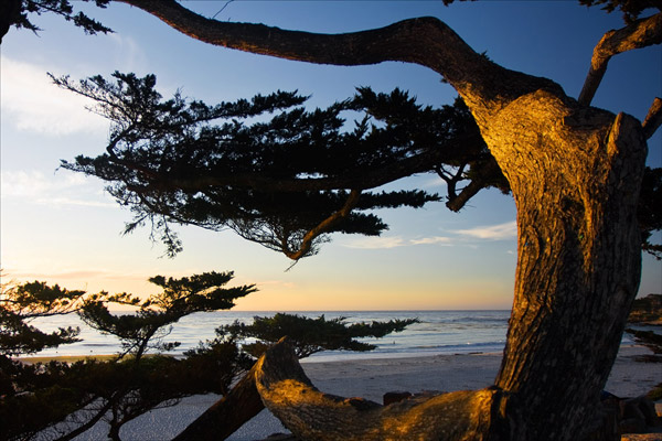 Carmel Sunset II