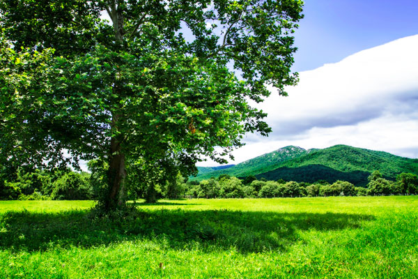 Rappahannock County II