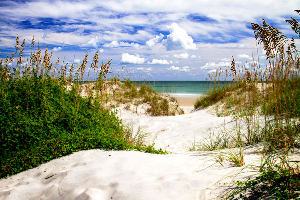 To the Beach I