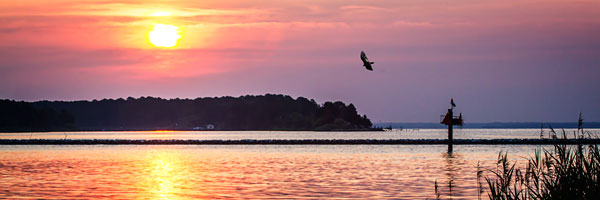 Potomac Sunset II