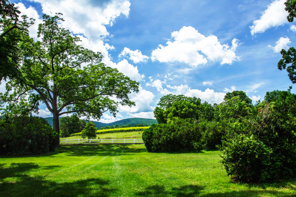 Barboursville