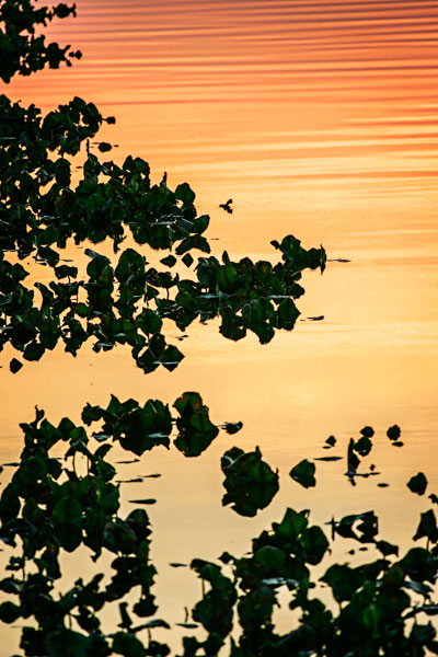River at Twilight II