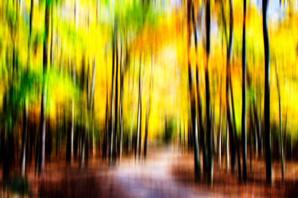 Autumn Impressions IV