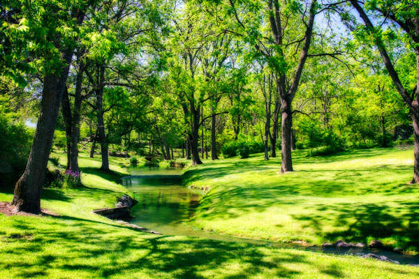 Gentle Stream I