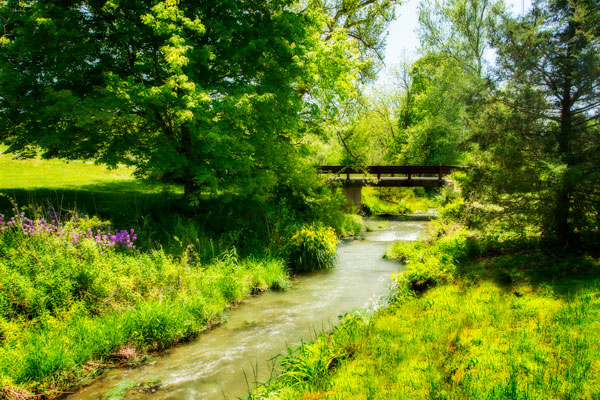 Gentle Stream IV