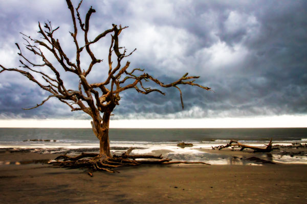 Storm is Coming I