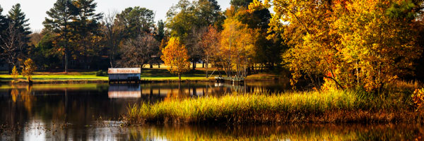 Autumn on the Mattaponi