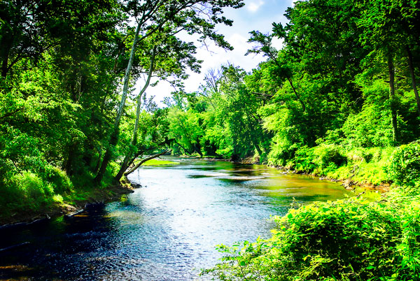 Summer Day on the Neuse River