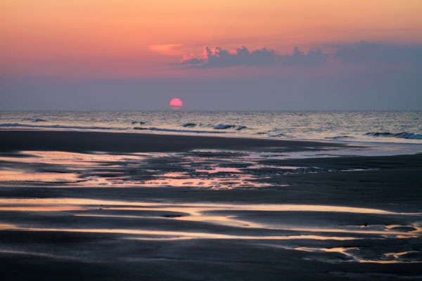 Pink Sun in Haze