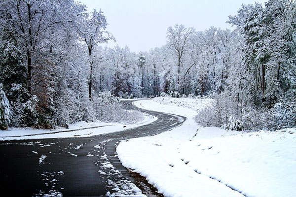 Lindsay Hill Lane