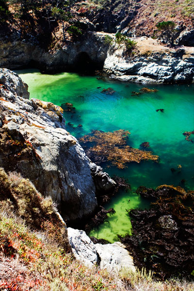 China Cove II