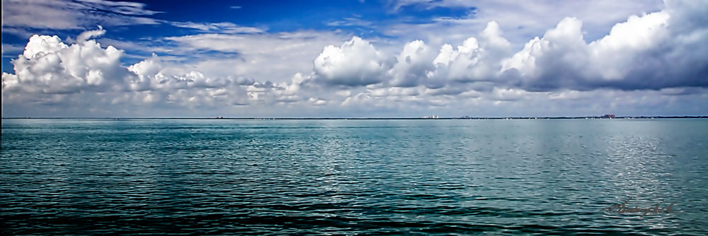 blue Horizon