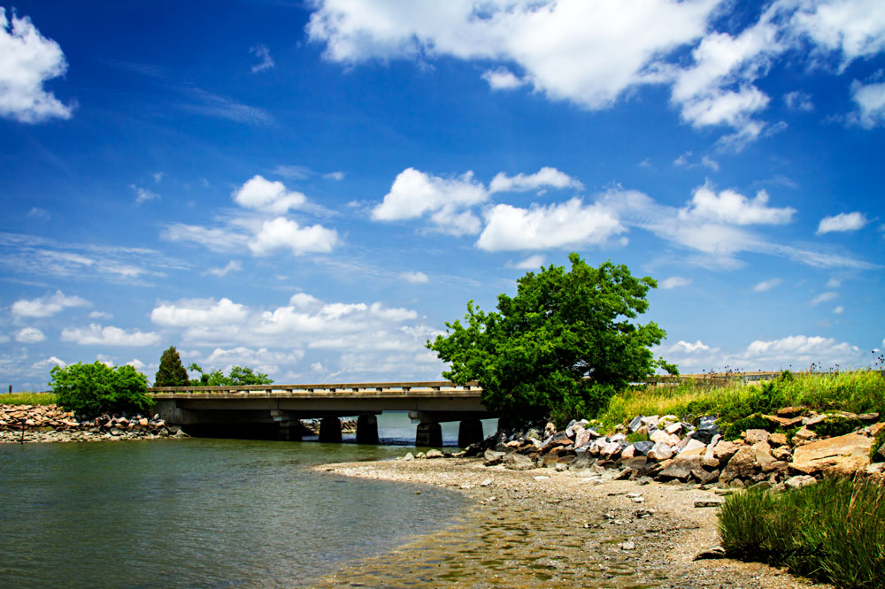 Bridge to Tomorrow