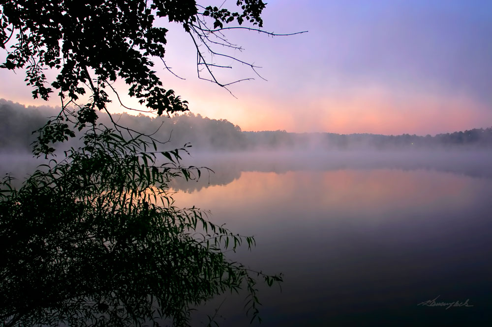 Shelley Lake Fog