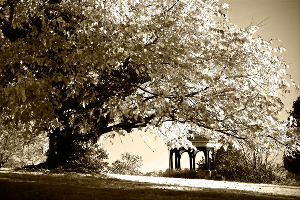 Gazebo