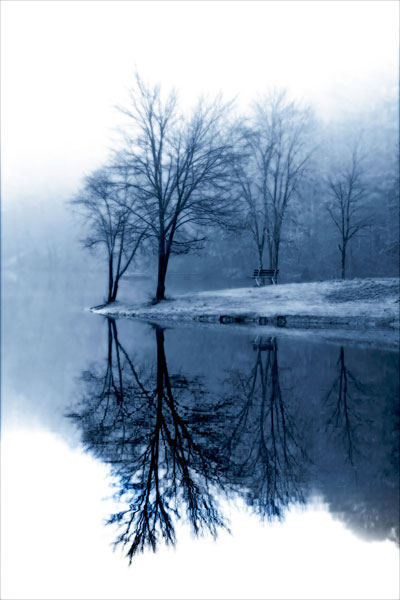 Fog on the Lake I