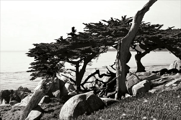 Ocean View II