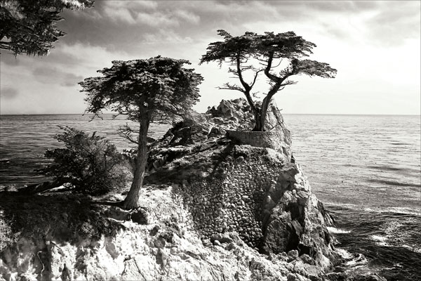 Ocean Cliff I