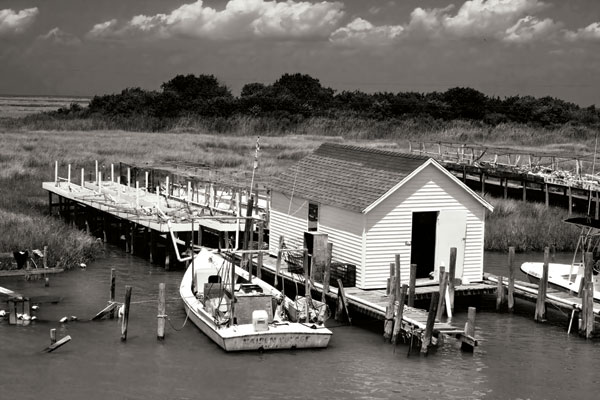 Tangier Island 2