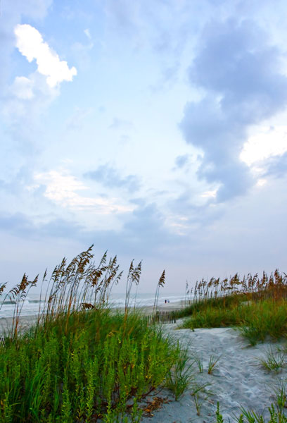 Early Morning in the Dunes 5