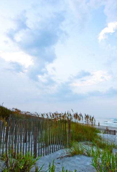 Early Morning in the Dunes 6