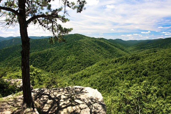 Blue Ridge
