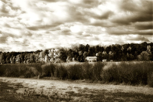 Hanover Farm 2