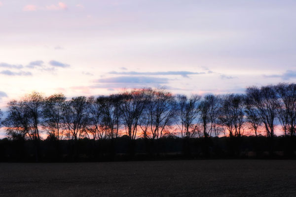 Winter Sunset 2
