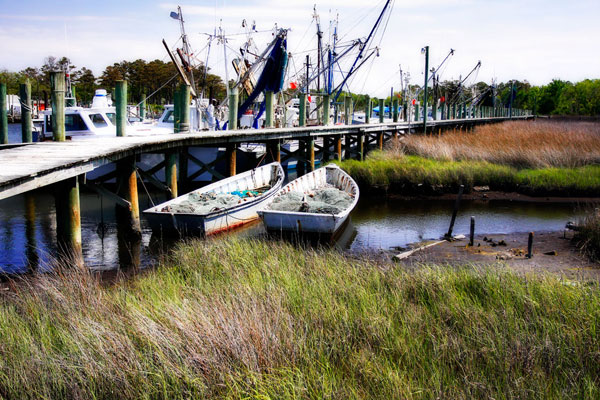Marsh Harbor 1